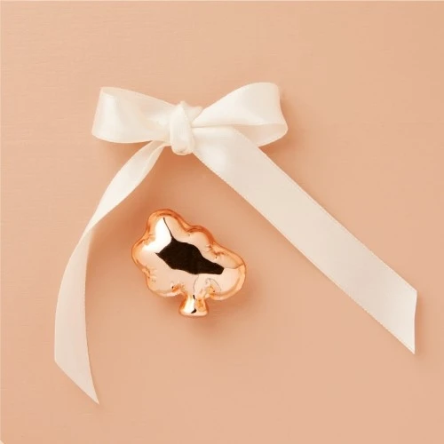 CALAMITA NUVOLA ORO ROSA - CLARALUNA 2025