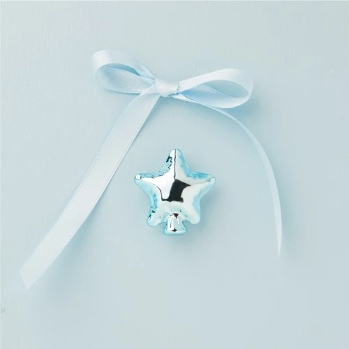 CALAMITA STELLA AZZURRA - CLARALUNA 2025