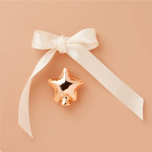 CALAMITA STELLA ORO ROSA - CLARALUNA 2025