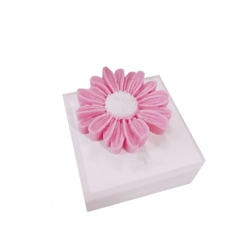 CANDELA MARGHERITA ROSA