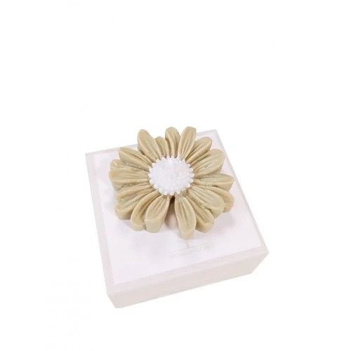 CANDELA MARGHERITA SALVIA