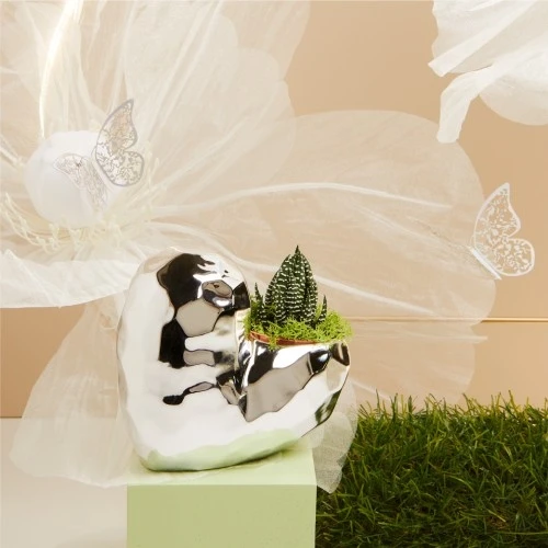 CASPEAU SILVER ALTO CON PIANTINA GRASSA - CLARALUNA 2025