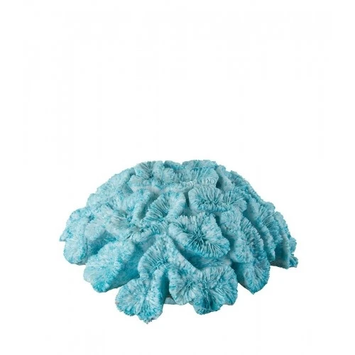 Corallo turchese