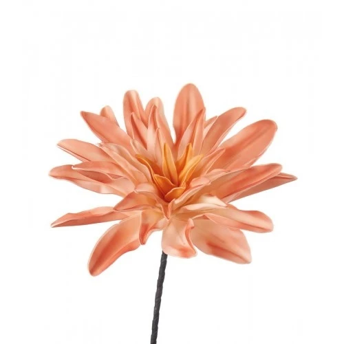 Dalia arancio