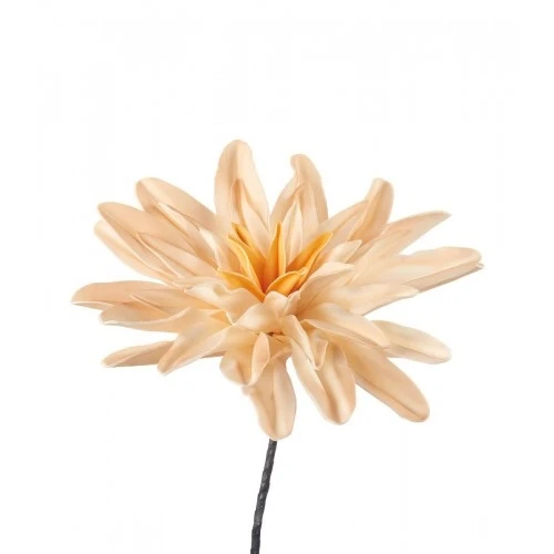 Dalia crema