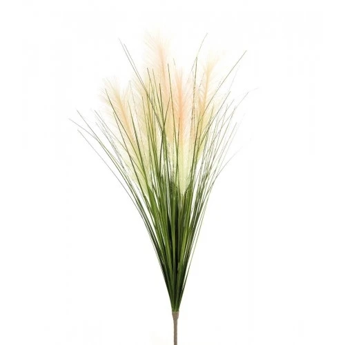 Erba della pampas