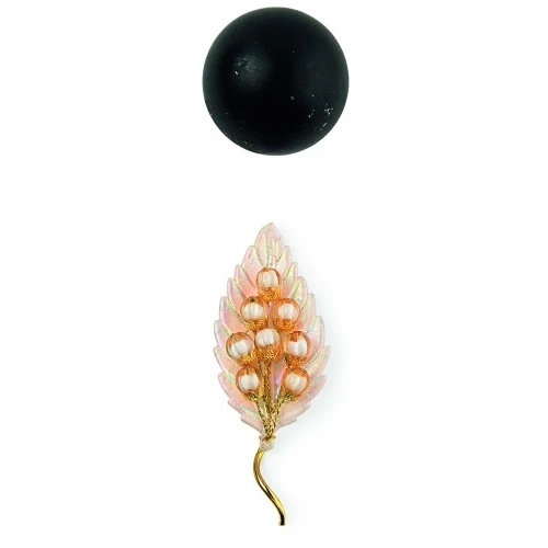 FOGLIA CON GRAPPOLO PESCA