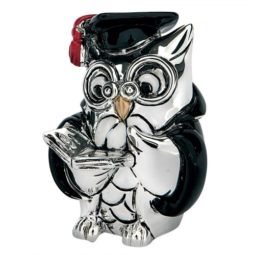 GUFO LAUREA AVVOCATO H7