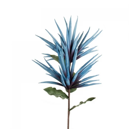 Indicum Avio