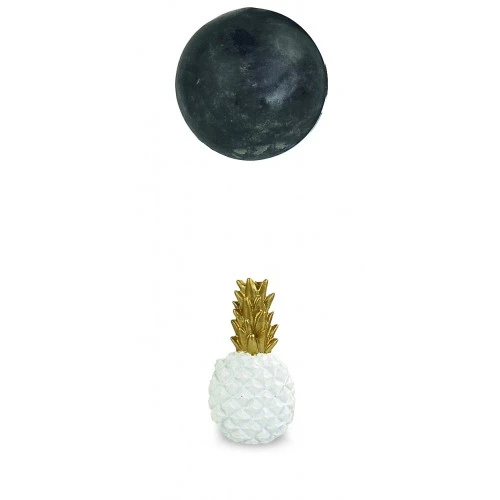 MAGNETE ANANAS