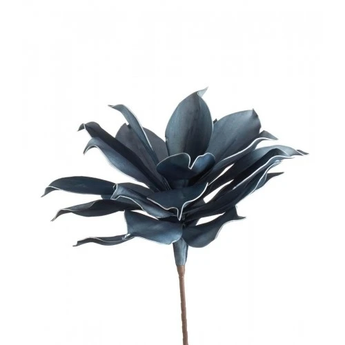 Magnolia gigante avio