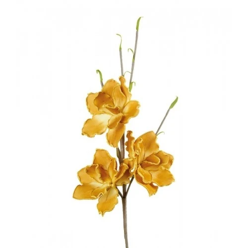 Magnolia Grandiflora senape