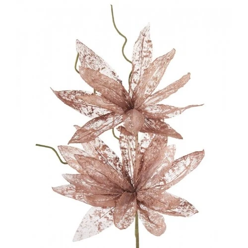 Magnolia porpurea bronzo