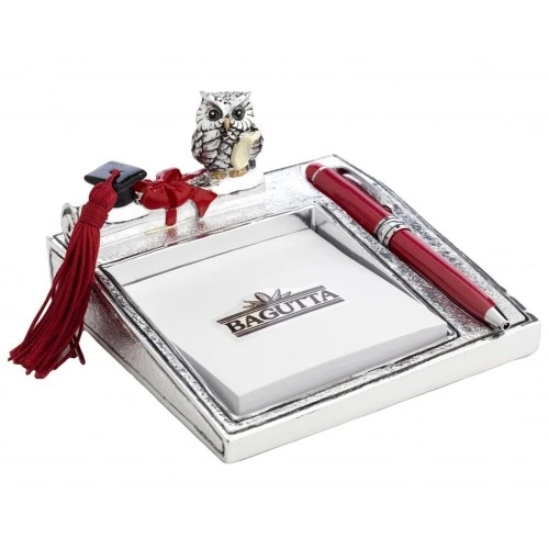 MEMOSTICK 75x75 C/PENNA - GUFO PICCOLO SU DIPLOMA