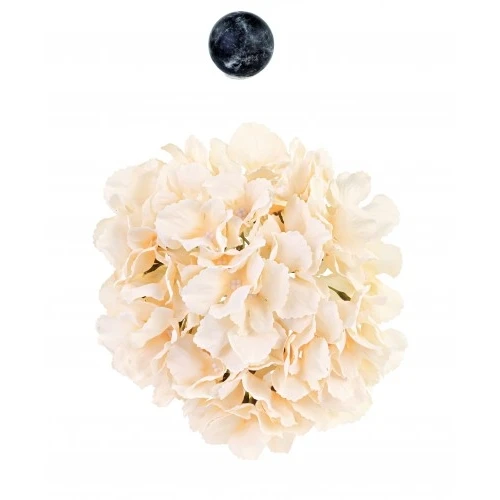ORTENSIA CHAMPAGNE