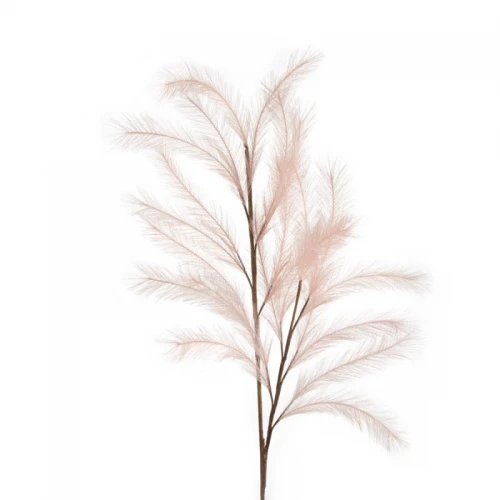 Pampas Rosa