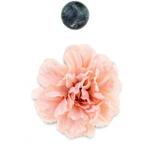 PEONIA NUDO