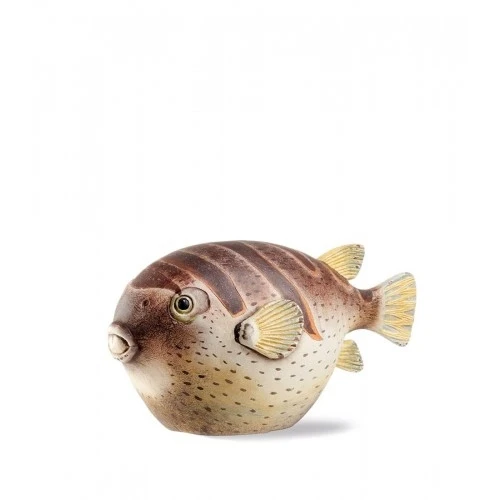 pesce palla Colomesus decorativo