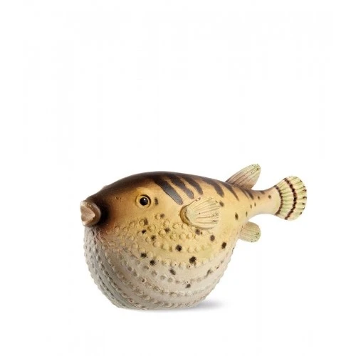 Pesce palla Tetradonte decoraticvo