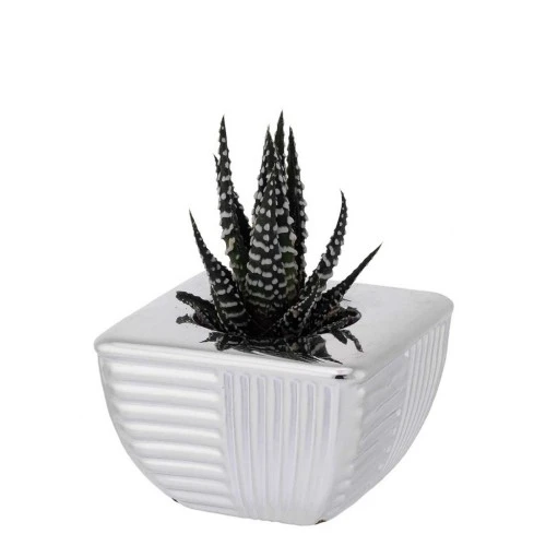 PORTAVASO BASE QUADRA CM.7x7x4,5