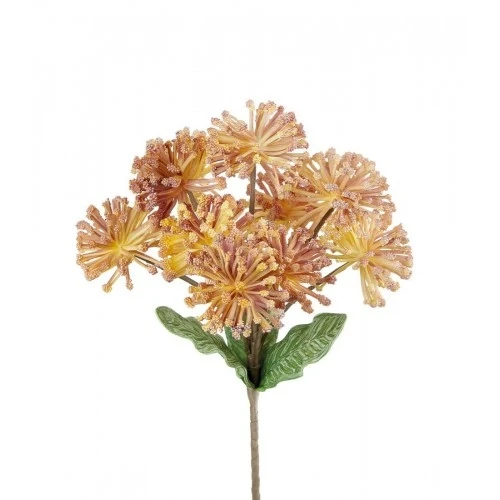 Protea Nutan giallo