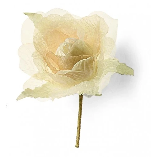 ROSA BEIGE
