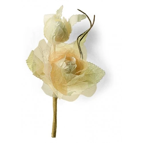 ROSA BEIGE CON BOCCIOLO