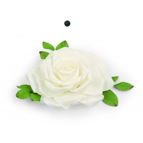 ROSA BIANCA