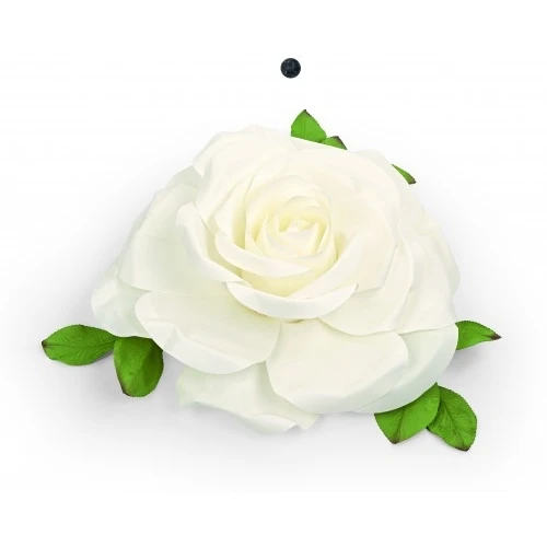 ROSA BIANCA
