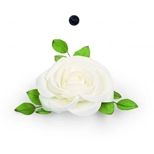 ROSA BIANCA