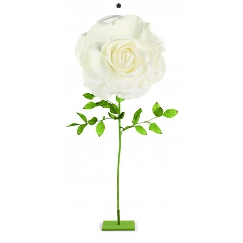 ROSA BIANCA CON STELO