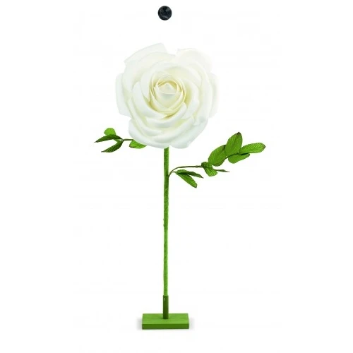 ROSA BIANCA CON STELO