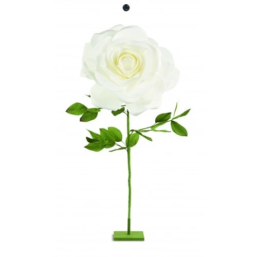 ROSA BIANCA CON STELO