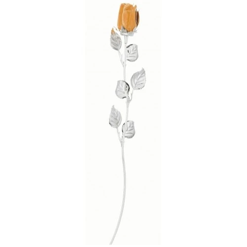 ROSA CM 30 - ARANCIONE