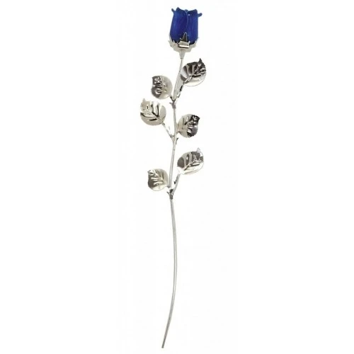 ROSA CM 30- BLU