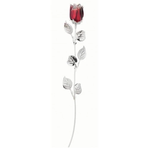ROSA CM 30 - BORDEAUX SCARLATTA