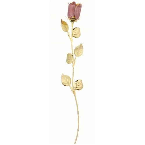 ROSA CM 30 - DORATA ROSA