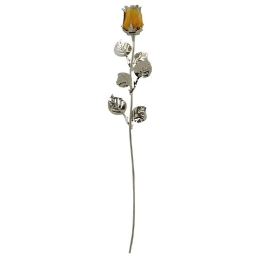 ROSA CM.30 - GIALLA SCARLATTA