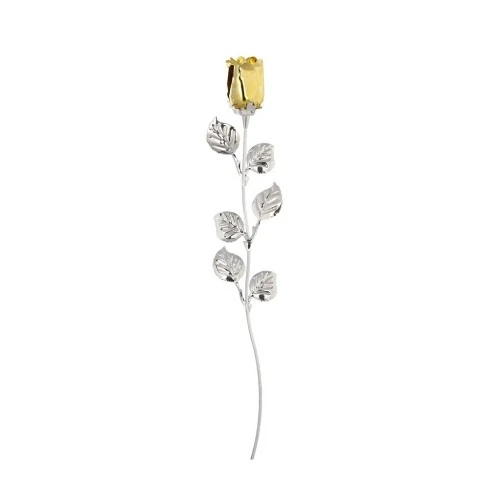 ROSA CM 30 ORO