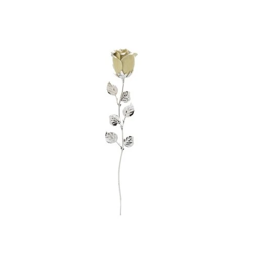 ROSA CM 33 - BIANCO