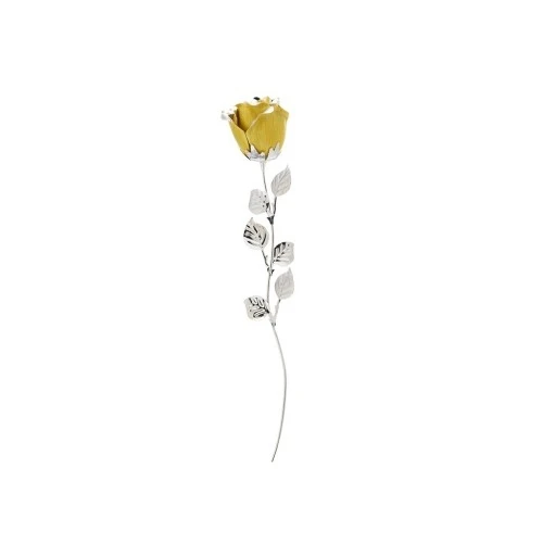 ROSA CM 33 - GIALLA