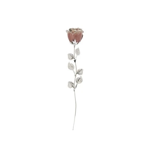 ROSA CM 33 - ROSA SCARLATTA