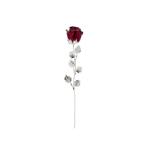 ROSA CM 33 - ROSSA SCARLATTA