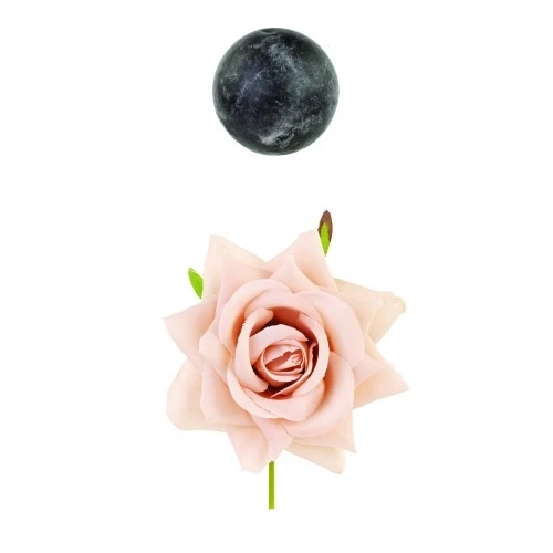 ROSA NUDO