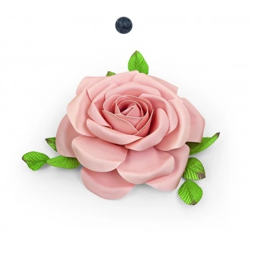 ROSA ROSA