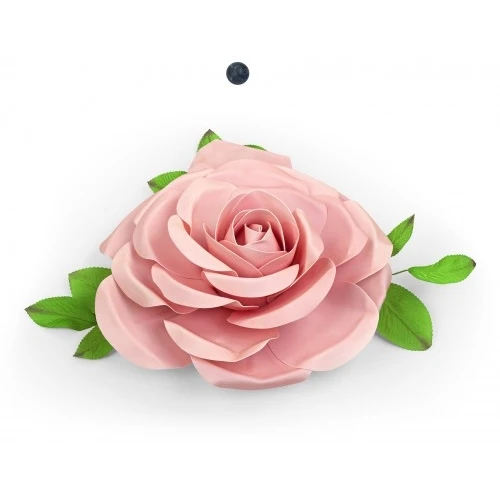 ROSA ROSA