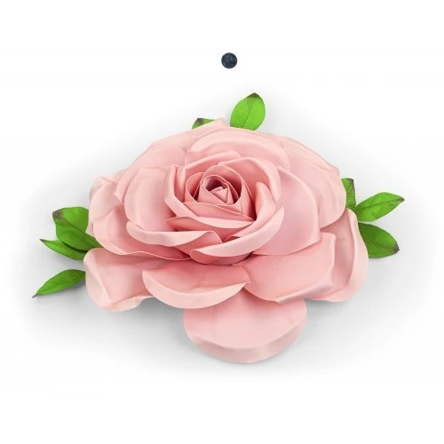 ROSA ROSA