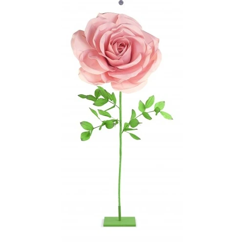 ROSA ROSA CON STELO