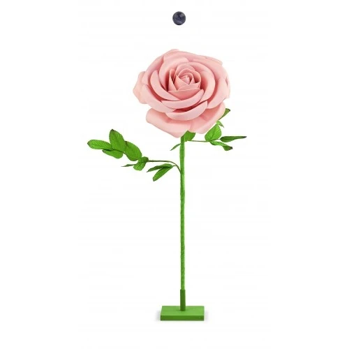 ROSA ROSA CON STELO