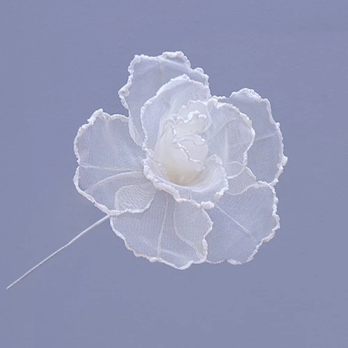 ROSE FIORE DM.15 H.29 AVORIO 